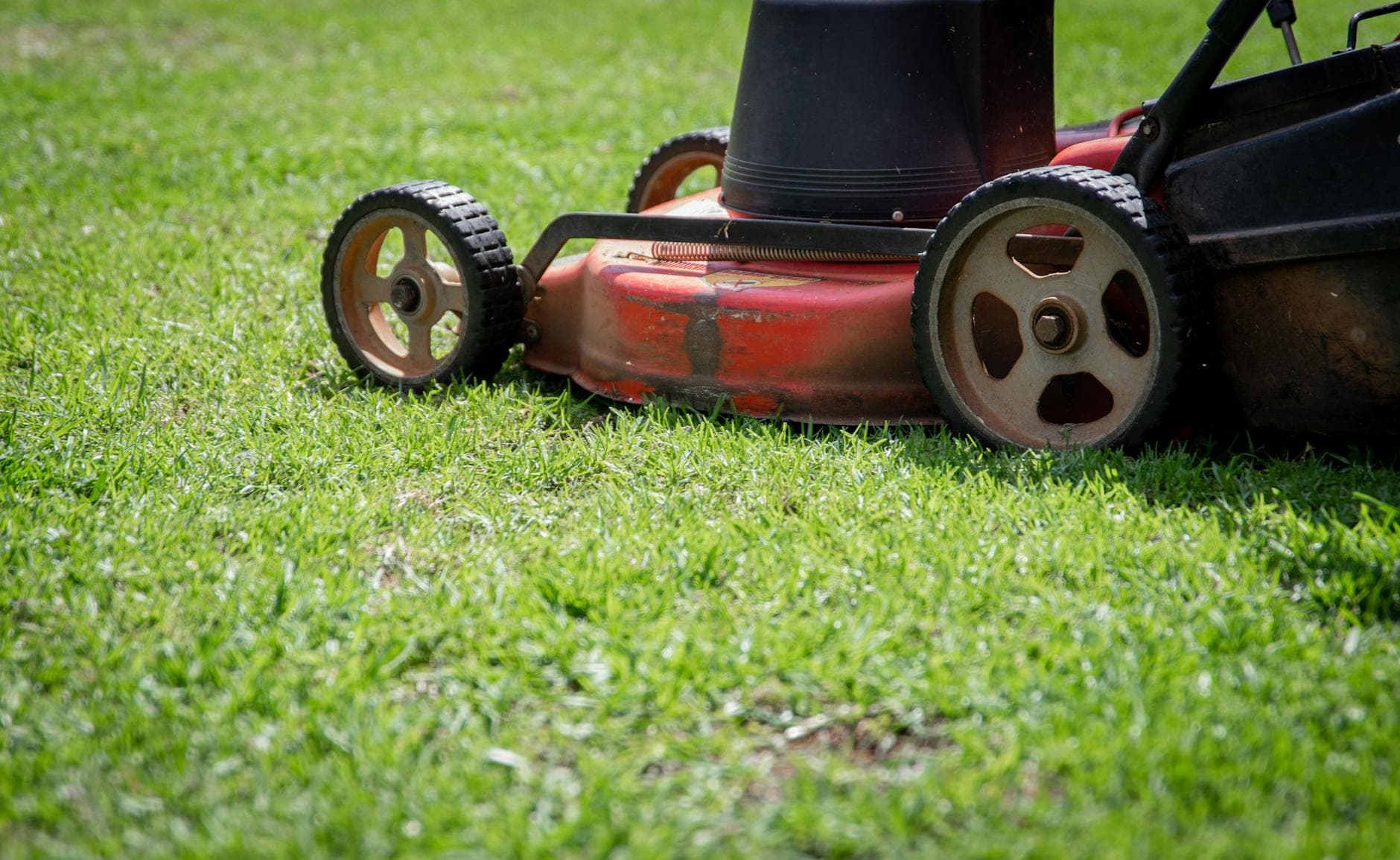 Lawn Mowing