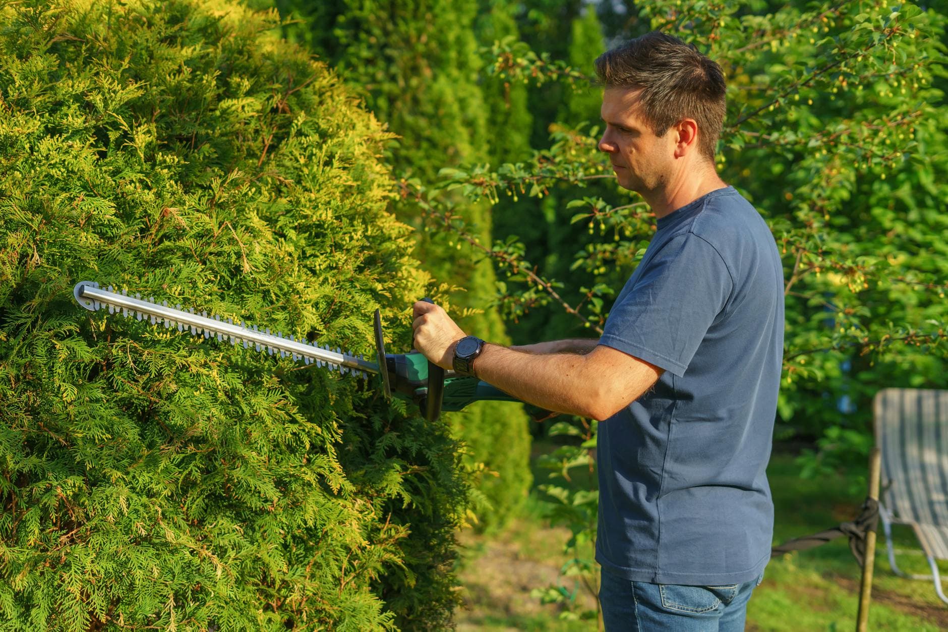 Hedge trimming