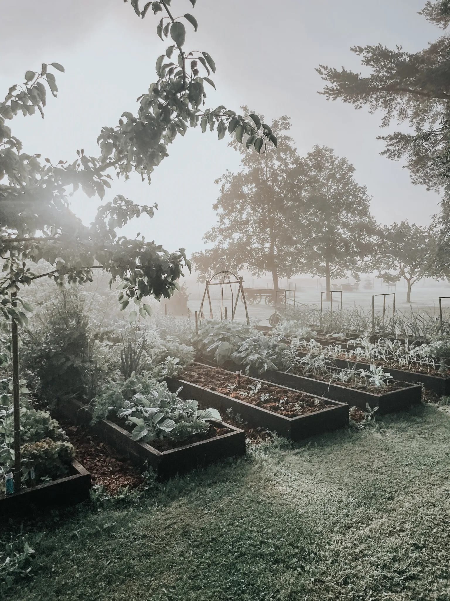 Farm Workshops